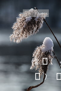 借錢(qián)怎么打欠條才正規(guī)(別人借錢(qián)怎么打欠條有法律依據(jù))