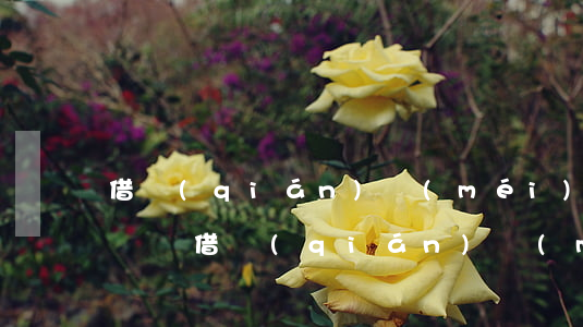 借錢(qián)沒(méi)借條還能起訴嗎(借錢(qián)沒(méi)有借條不還可以起訴嗎)