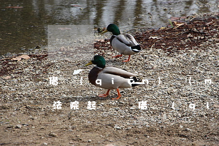 借錢(qián)沒(méi)欠條可以上法院起訴嗎(借錢(qián)沒(méi)欠條可以上法院起訴嗎)