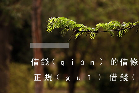 借錢(qián)的借條怎么寫(xiě)正規(guī)(借錢(qián)的借條怎么寫(xiě)正規(guī)好)