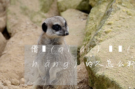 借錢(qián)給開(kāi)賭場(chǎng)的人怎么判刑(借錢(qián)給別人開(kāi)設(shè)賭場(chǎng))
