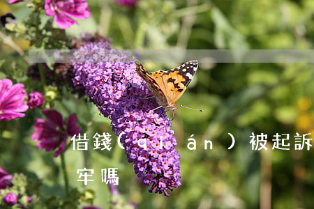 借錢(qián)被起訴了會(huì)坐牢嗎