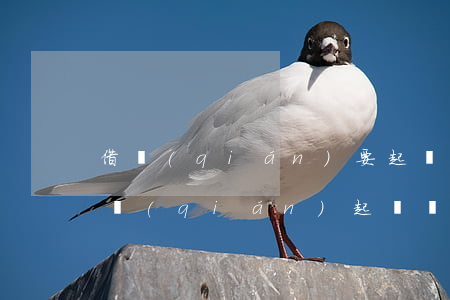 借錢(qián)要起訴時(shí)效(借錢(qián)起訴時(shí)效為三年)