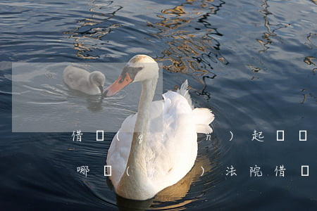 借錢(qián)起訴應(yīng)該在哪個(gè)法院（借錢(qián)起訴到哪個(gè)法院）