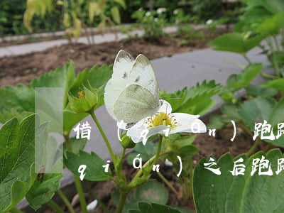 借錢(qián)跑路找法院管用嗎(借錢(qián)之后跑路可以告詐騙嗎)
