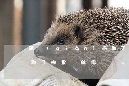 借錢(qián)逾期了可以還款嗎(貸款逾期了哪里還能借錢(qián))