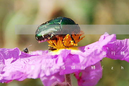 借錢(qián)銀行轉(zhuǎn)賬能起訴嗎(銀行轉(zhuǎn)賬借別人錢(qián) 能要回嗎)