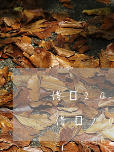 借錢2000立案嗎訴訟費(fèi)多少（借錢2000法院起訴）