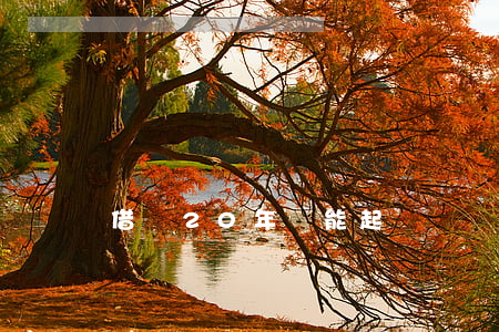 借錢20年還能起訴嗎