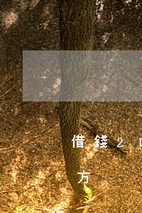 借錢20萬怎么起訴(借錢20萬怎么起訴對方)