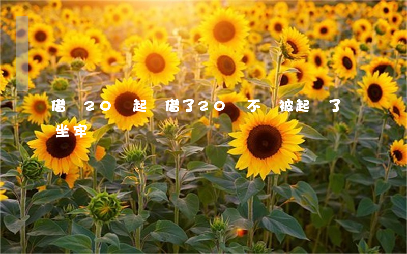 借錢20萬起訴(借了20萬不還被起訴了會坐牢嗎)