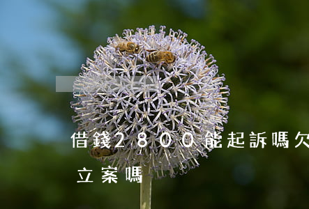 借錢2800能起訴嗎(欠款2800元可以立案嗎)