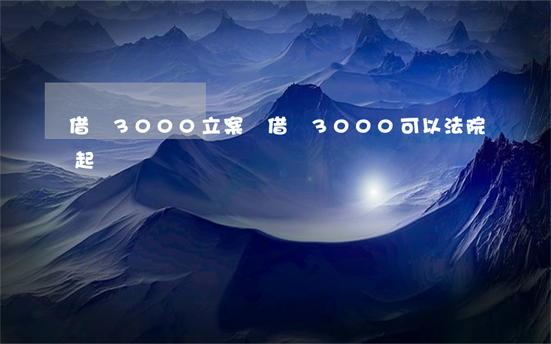 借錢3000立案嗎（借錢3000可以法院起訴嗎）