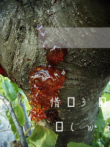 借錢3萬(wàn)不還怎樣起訴呢（借錢3萬(wàn)不還怎樣起訴）