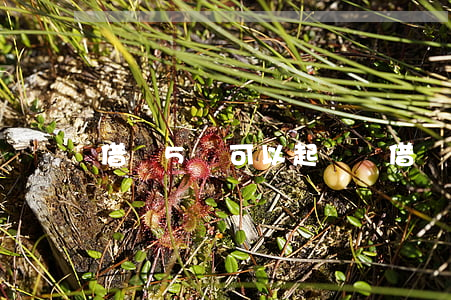借錢5萬可以起訴嗎(借錢5萬以上會判多久)