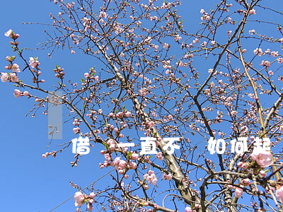 借錢一直不還如何起訴