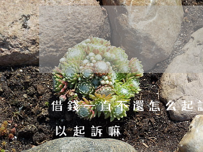 借錢一直不還怎么起訴(借錢一直拖欠不還可以起訴嘛)