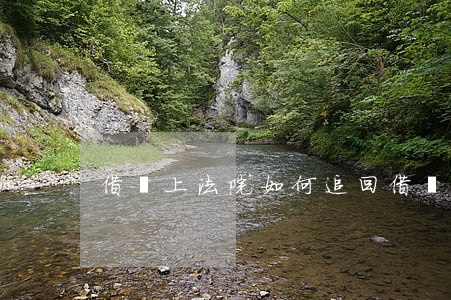 借錢上法院如何追回(借錢告到了法院怎樣算)