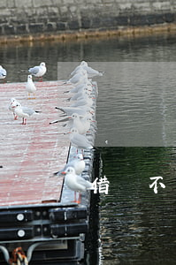 借錢不同時可以起訴嗎