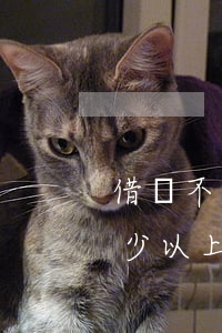 借錢不要還多少以上可以起訴(借錢不要還多少以上可以起訴)