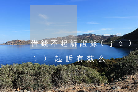 借錢不起訴證據(jù)(借錢沒留證據(jù)起訴有效么)