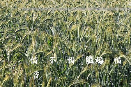 借錢不還借條能起訴(借錢不還借條能起訴對方嗎)