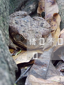 借錢不還去什么法院(借錢不還去什么法院起訴)