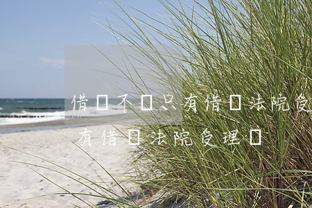 借錢不還只有借條法院受理嗎-借錢不還只有借條法院受理嗎