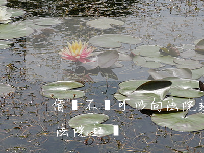 借錢不還可以向法院起訴嗎(借錢不還在哪個法院起訴)