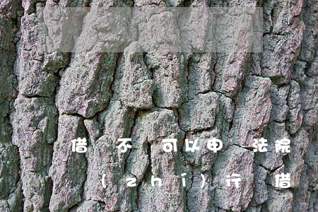 借錢不還可以申請法院強(qiáng)制執(zhí)行嗎(借錢不還可以申請強(qiáng)制執(zhí)行嗎)