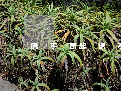 借錢不還可起訴 借錢不還起訴書怎么寫
