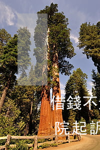 借錢不還向法院起訴要多少錢(借錢不還去法院起訴要錢嗎)