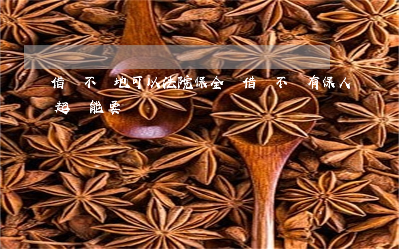 借錢不還地可以法院保全嗎(借錢不還有保人起訴能要來錢嗎)