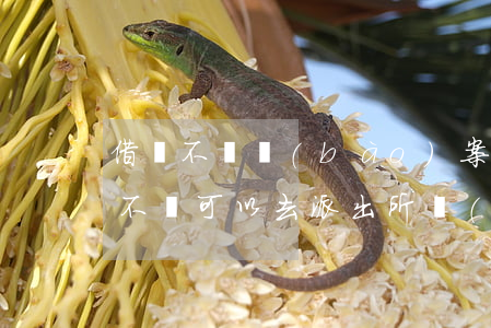 借錢不還報(bào)案派出所受理嗎(借錢不還可以去派出所報(bào)案嗎)