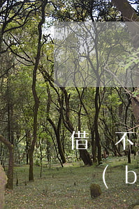 借錢不還如何報(bào)警，借錢不還如何報(bào)警有效