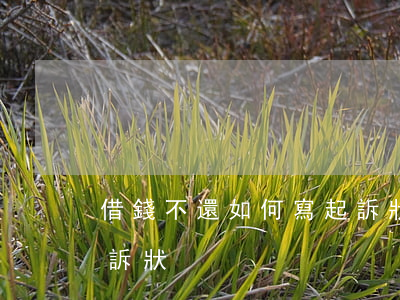 借錢不還如何寫起訴狀-借錢不還怎么寫起訴狀