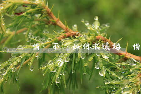 借錢不還如何求援起訴(借錢不還如何求援起訴對方)