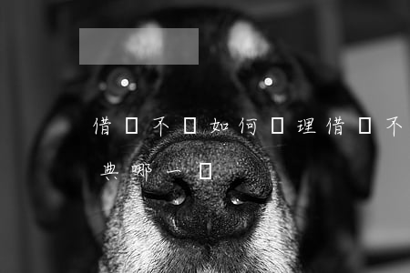 借錢不還如何處理(借錢不還如何處理在民法典哪一條)