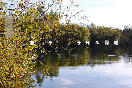 借錢不還屬于什么罪(借錢不還屬于什么違法行為)