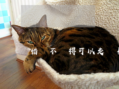 借錢不還得可以走簡易程序訴訟嗎