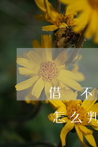 借錢不還怎么執(zhí)行（借錢不還法院怎么判定）