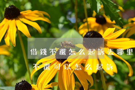 借錢不還怎么起訴,去哪里起訴要多少錢（借錢不還可以怎么起訴）