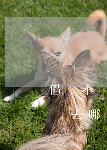 借錢不還怎么起訴委托(借錢不還怎樣寫起訴書去哪個法院)