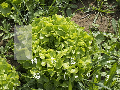 借錢不還怎樣網(wǎng)絡(luò)起訴(網(wǎng)絡(luò)上借錢不還)
