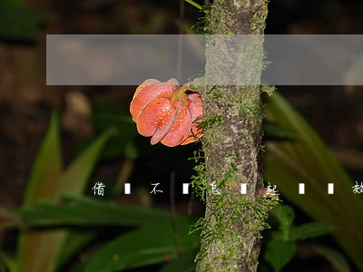 借錢不還怎樣起訴實效(借錢不還的怎么起訴)