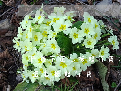 借錢不還怎樣起訴費(fèi)誰付 借錢不還怎樣起訴費(fèi)誰付