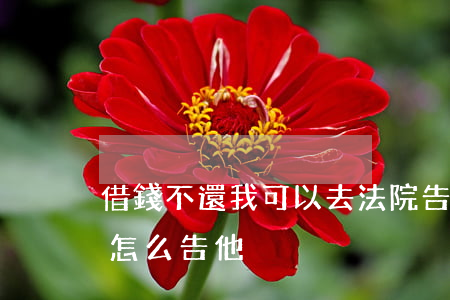 借錢不還我可以去法院告他嗎(如果借錢不還怎么告他)