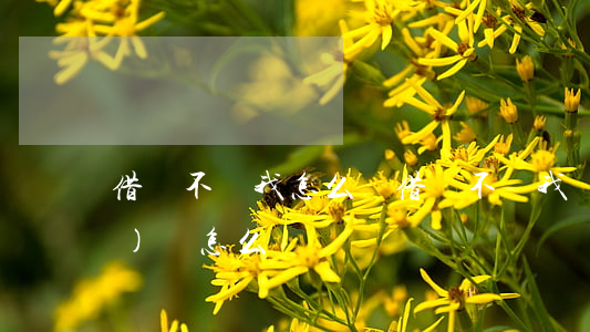 借錢不還我怎么辦(借錢不還我應(yīng)該怎么辦)