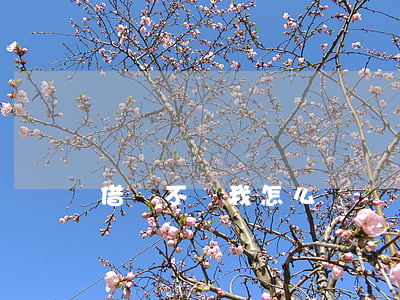 借錢不還我怎么辦(請問借錢不還怎么辦)