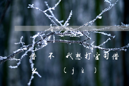 借錢不還我想打官司(借錢不還打官司需要什么證據(jù))